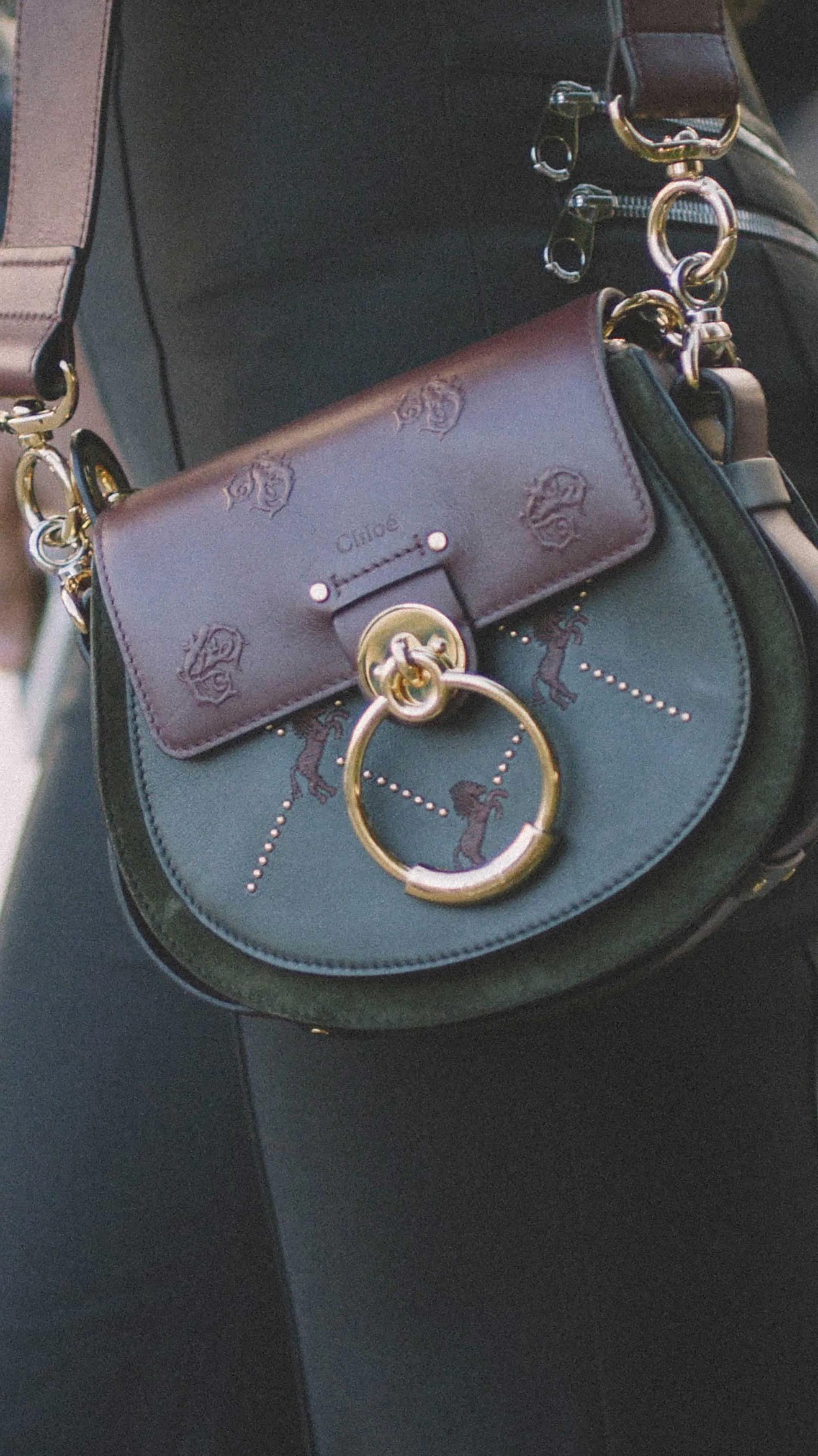 Chloe roy sales bucket bag horse